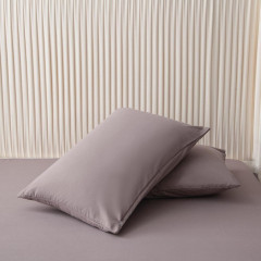 Комплект постельного белья Однотонный Сатин CS036