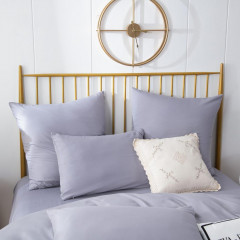 Комплект постельного белья Однотонный Сатин CS042