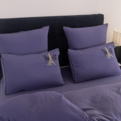 Комплект постельного белья Mood of Paris MP013