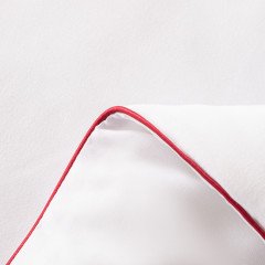 Одеяло SM Всесезонное SM001 красный кант 150*210 см